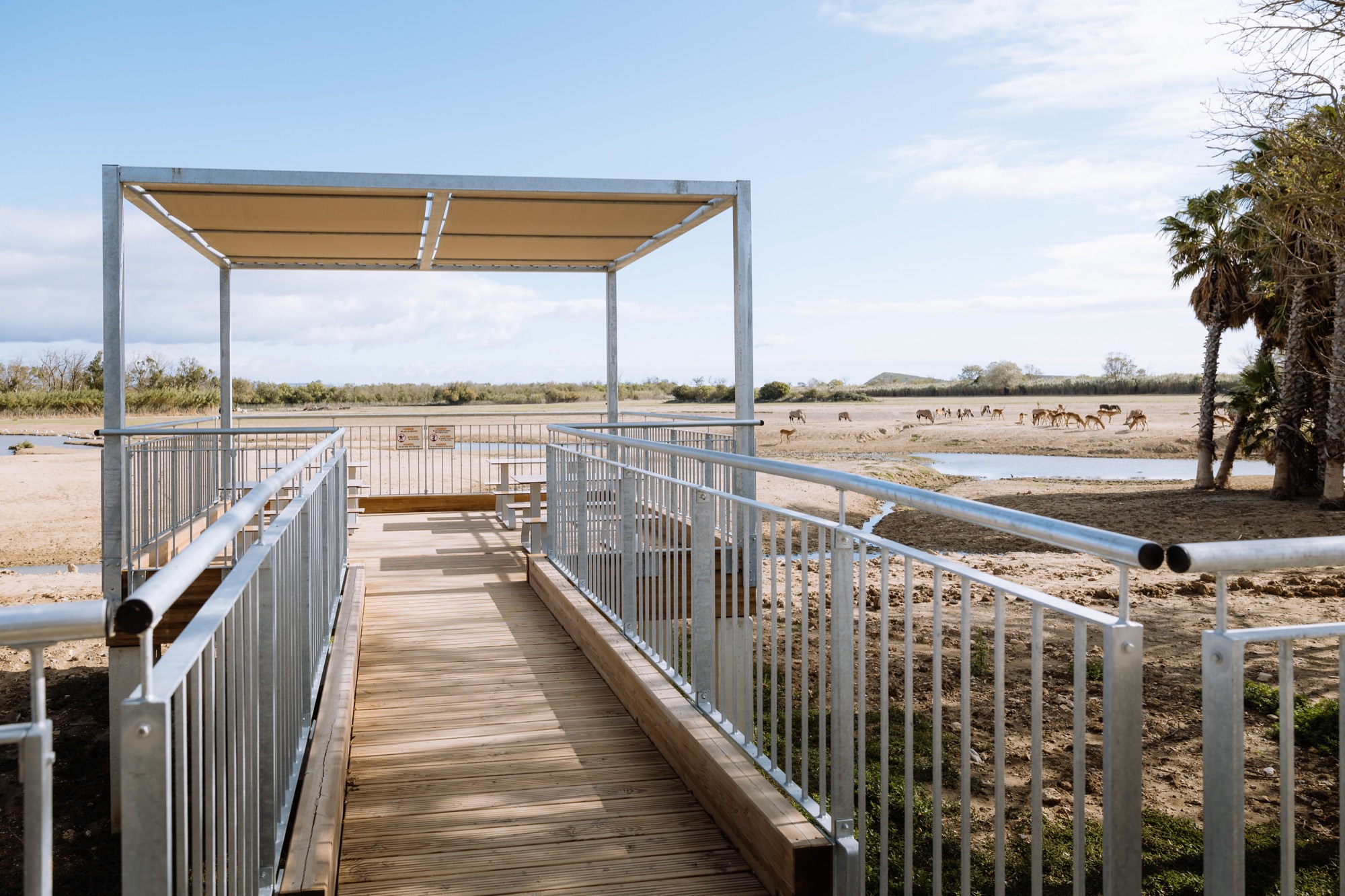 Réserve Africaine de Sigean