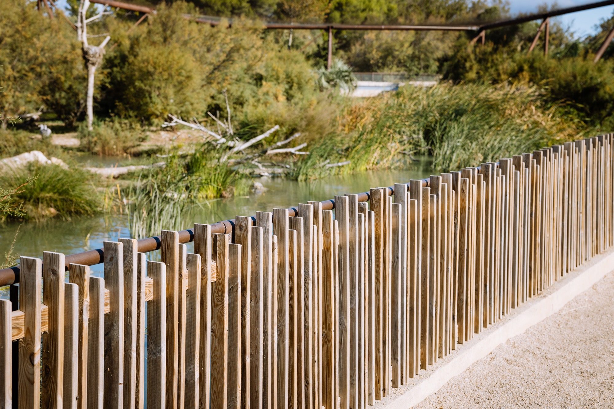 Réserve Africaine de Sigean